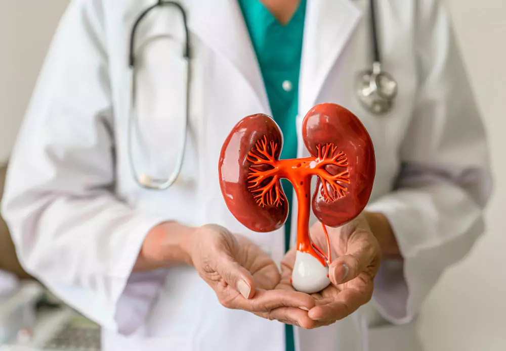 Kidney Stone Management